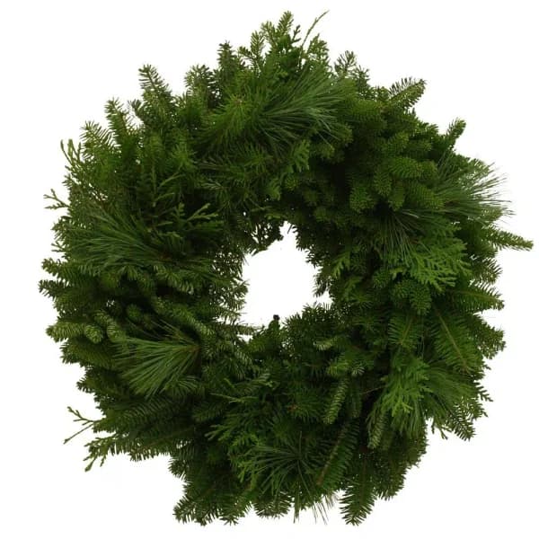 Worcester Wreath 24 in. Fresh Mixed Greens Holiday Wreath - Maine Balsam, White Pine, and Cedar