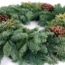 VAN ZYVERDEN 20 in. Live Fresh Cut Pacific Northwest Mixed Christmas Wreath with Pine Cones thumbnail 3