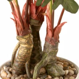 National Tree Company 21 in. Artificial Philodendron Plant in White Ceramic Pot thumbnail 2