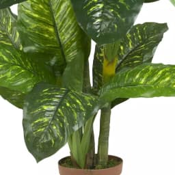 Nearly Natural Real Touch 5 ft. Green Dieffenbachia Silk Potted Plant thumbnail 4
