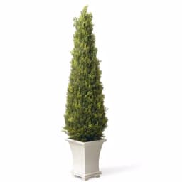 National Tree Company 42 in. Artificial Juniper Tree in White Pot - Indoor/Outdoor Topiary thumbnail 1