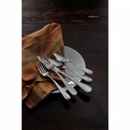 Oneida Flight 18/8 Stainless Steel Dinner Forks, 36-Piece Set thumbnail 5