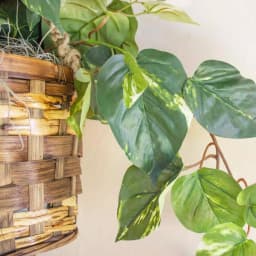 Nearly Natural Lifelike Pothos Silk Plant in Woven Roped Hanging Basket thumbnail 3