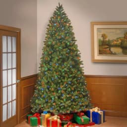 National Tree Company 9 ft. Bayberry Spruce Artificial Christmas Tree with 1000 Dual Color LED Lights & PowerConnect System thumbnail 4