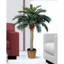 Nearly Natural 4 ft. Sago Palm Silk Tree with Decorative Wicker Basket thumbnail 2
