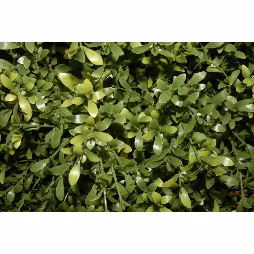 National Tree Company 30 in. Argentea Artificial Arborvitae Evergreen Bush in Green Round Growers Pot