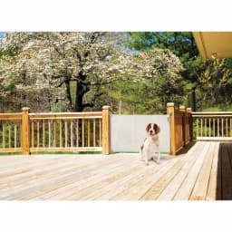 Dreambaby 55 in. White Retractable Indoor/Outdoor Safety Gate thumbnail 5
