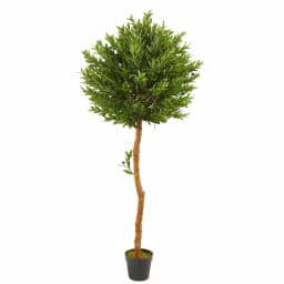 Nearly Natural 5.5 ft. Artificial Olive Topiary Tree - UV Resistant Indoor/Outdoor Faux Plant thumbnail 1