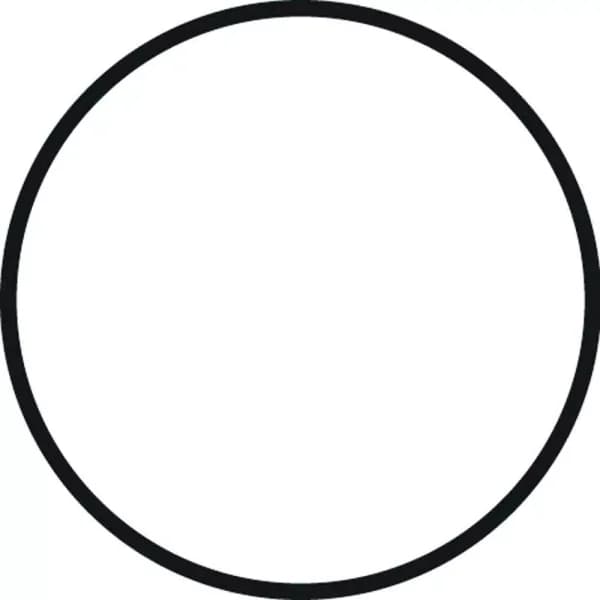 DuPont Heavy Duty System Replacement O-Ring for WFHD13001B Housing