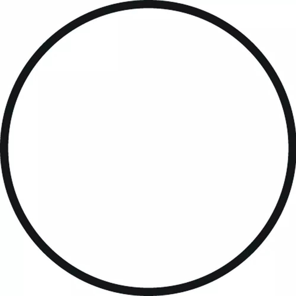 DuPont Heavy Duty System Replacement O-Ring for WFHD13001B Housing