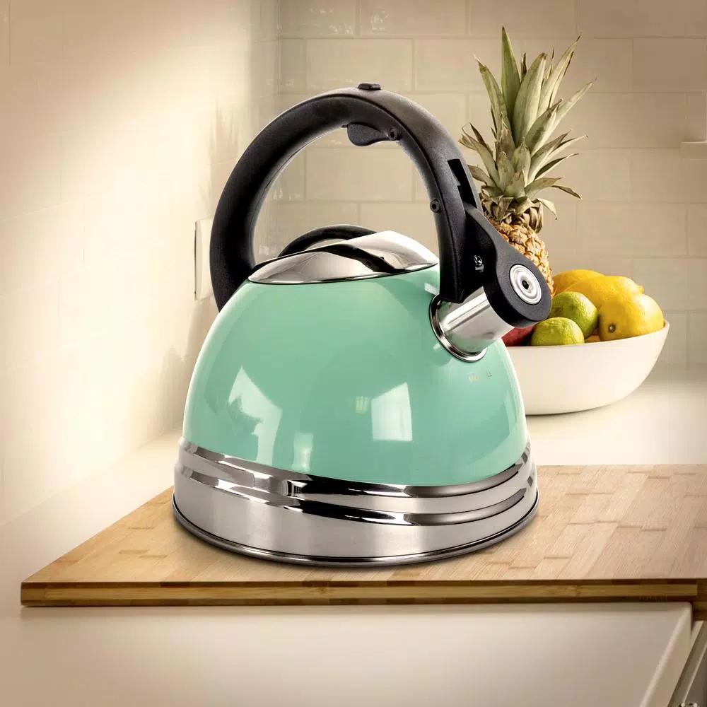 Mr. Coffee 10-Cup Stainless Steel Whistling Tea Kettle, Blue