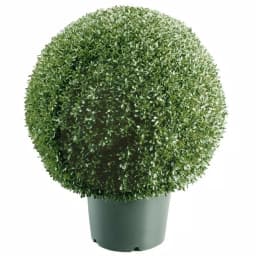 National Tree Company 22 in. Mini Boxwood Ball Artificial Topiary Tree in 9 in. Round Green Growers Pot thumbnail 1