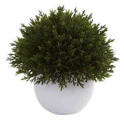 Nearly Natural Mixed Cedar Topiary Collection, Set of 3 with Ceramic Planters thumbnail 3