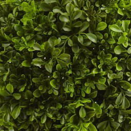 Nearly Natural 23 in. Faux Boxwood Ball Topiary with Gray Planter thumbnail 2
