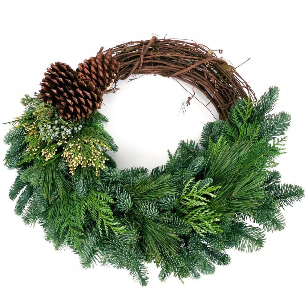 VAN ZYVERDEN 20 in. Live Fresh Cut Pacific Northwest Grapevine and Evergreen Christmas Wreath