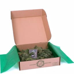 VAN ZYVERDEN 20 in. Fresh Cut Pacific Northwest Juniper and Noble Fir Christmas Wreath thumbnail 4