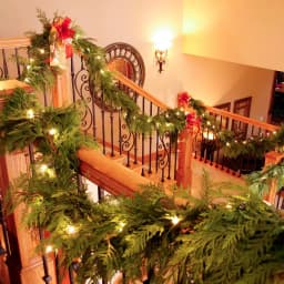 VAN ZYVERDEN 10 ft. Fresh Cut Pacific Northwest Western Red Cedar Coil Garland thumbnail 3