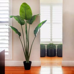 Nearly Natural 63 in. UV Resistant Indoor/Outdoor Artificial Travelers Palm Tree with Black Pot thumbnail 2