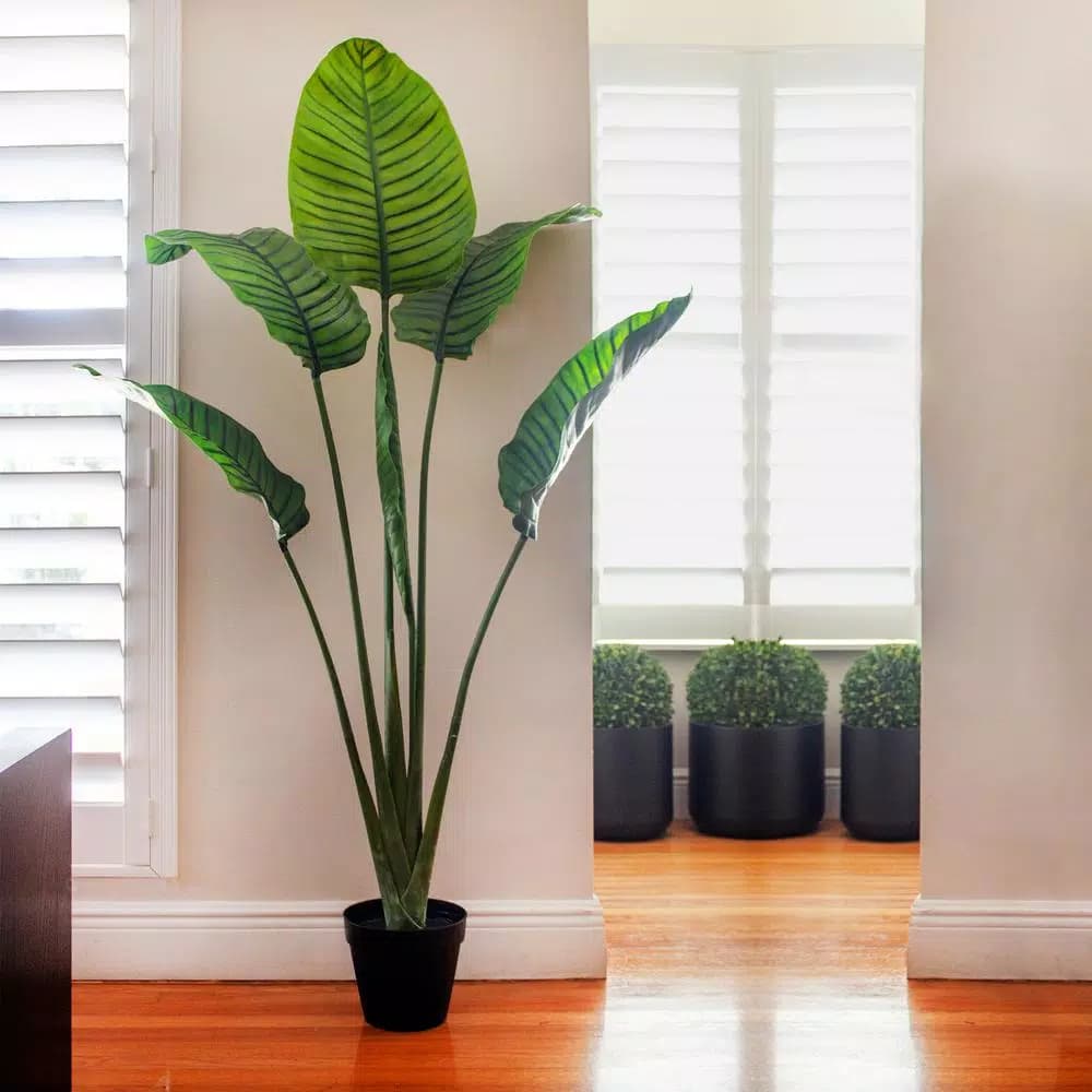 Nearly Natural 63 in. UV Resistant Indoor/Outdoor Artificial Travelers Palm Tree with Black Pot