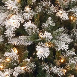 National Tree Company 7.5 ft. Snowy Mountain Pine Slim Artificial Christmas Tree with 500 Clear Lights thumbnail 3