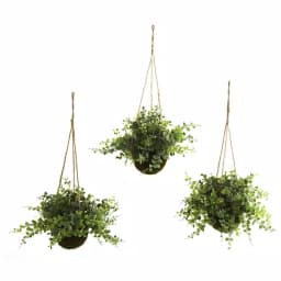 Nearly Natural Eucalyptus, Maidenhair, and Berry Faux Hanging Plant Set of 3 with Wicker Baskets thumbnail 1