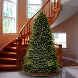 National Tree Company 10 ft. Dunhill Fir Artificial Christmas Tree, Full Body, 5090 Tips, Unlit thumbnail 2