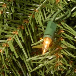 National Tree Company 24" Norwood Fir Artificial Wreath with 50 Dual Color LED Lights, Battery Operated thumbnail 3