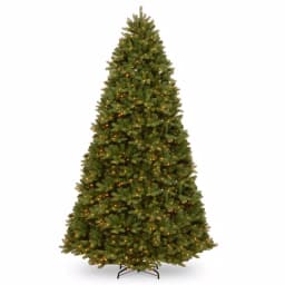 National Tree Company 12 ft. Feel Real Newberry Spruce Artificial Christmas Tree with 2000 Dual Color LED Lights thumbnail 1