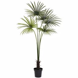 Nearly Natural 7 ft. UV Resistant Indoor/Outdoor Artificial Fan Palm Tree with Black Pot thumbnail 1