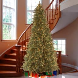 National Tree Company 9 ft. Tiffany Fir Slim Artificial Christmas Tree with 800 Clear Lights thumbnail 2
