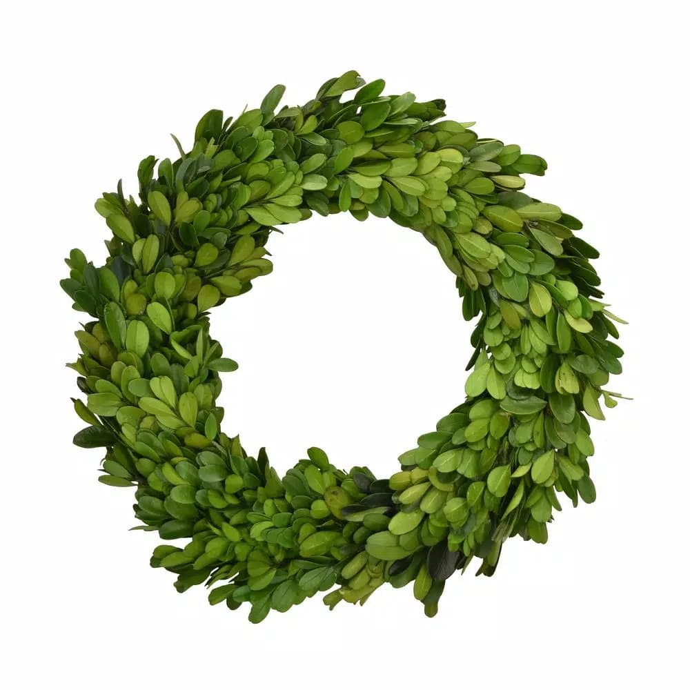 Unbranded Preserved Boxwood Candle Ring Wreath Set of 2, 10 in. Green