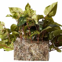 Nearly Natural 15in. Green Pothos Ledge Silk Plant - Indoor Artificial Bush thumbnail 2