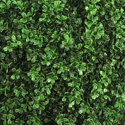 Nearly Natural 5 ft. Double Ball Leucodendron Topiary with Decorative Vase - Indoor/Outdoor Green Silk Foliage thumbnail 2