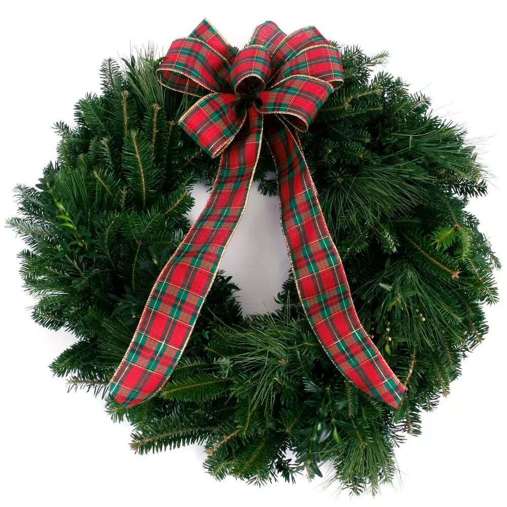 VAN ZYVERDEN 24 in. Live Fresh Cut Blue Ridge Mountain Mixed Christmas Wreath with Bow