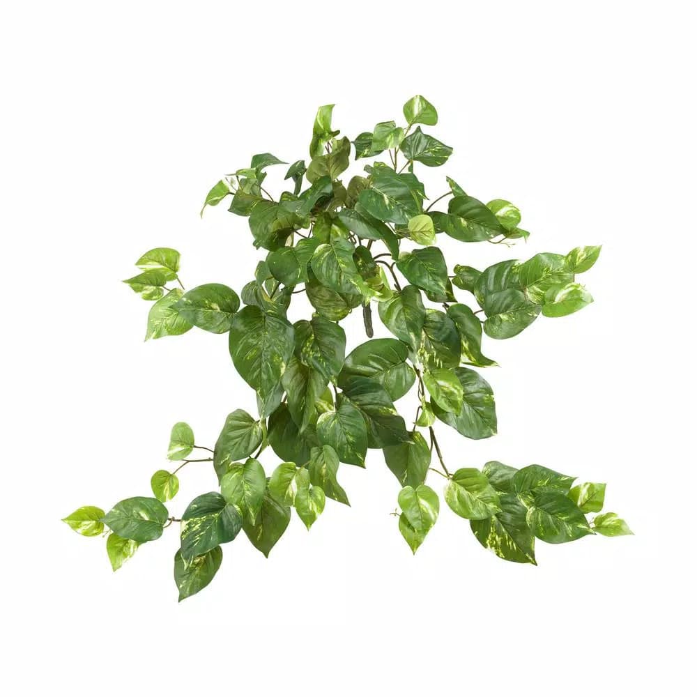 Nearly Natural 30 in. Pothos Hanging Bush Set of 3 - Variegated Green Artificial Plants