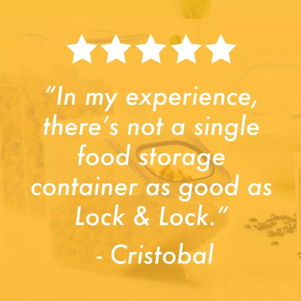 LOCK & LOCK Easy Essentials Pantry 16.5-Cup Rectangular Food Storage Container, Airtight & Leakproof Plastic Container