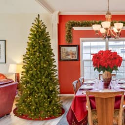 National Tree Company 7 ft. Feel Real Downswept Douglas Fir Pencil Slim Artificial Christmas Tree with 300 Dual Color LED Lights thumbnail 2