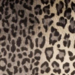 Safavieh Faux Black Leopard Print Throw Pillow, 20x20 Square Accent Pillow with Feather Fill thumbnail 3