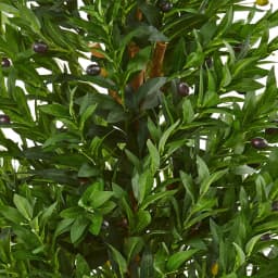 Nearly Natural 4.5 ft. Artificial Olive Cone Topiary Tree - UV-Resistant Indoor/Outdoor Greenery thumbnail 3