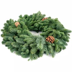 VAN ZYVERDEN 16 in. Live Fresh Cut Pacific Northwest Noble Fir Christmas Wreath with Pine Cones thumbnail 2
