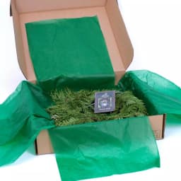 VAN ZYVERDEN 10 ft. Fresh Cut Pacific Northwest Western Red Cedar Coil Garland thumbnail 6