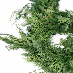 VAN ZYVERDEN 10 ft. Fresh Cut Pacific Northwest Western Red Cedar Coil Garland thumbnail 5