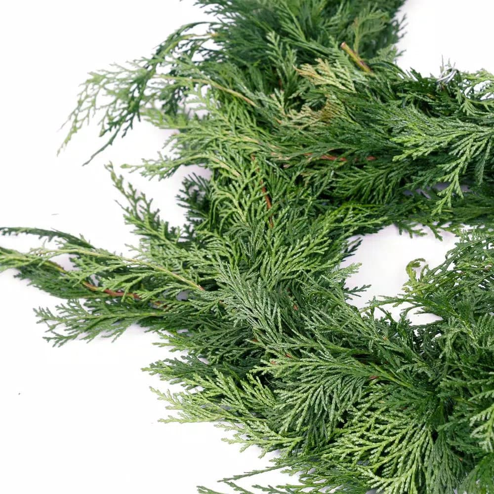 VAN ZYVERDEN 10 ft. Fresh Cut Pacific Northwest Western Red Cedar Coil Garland