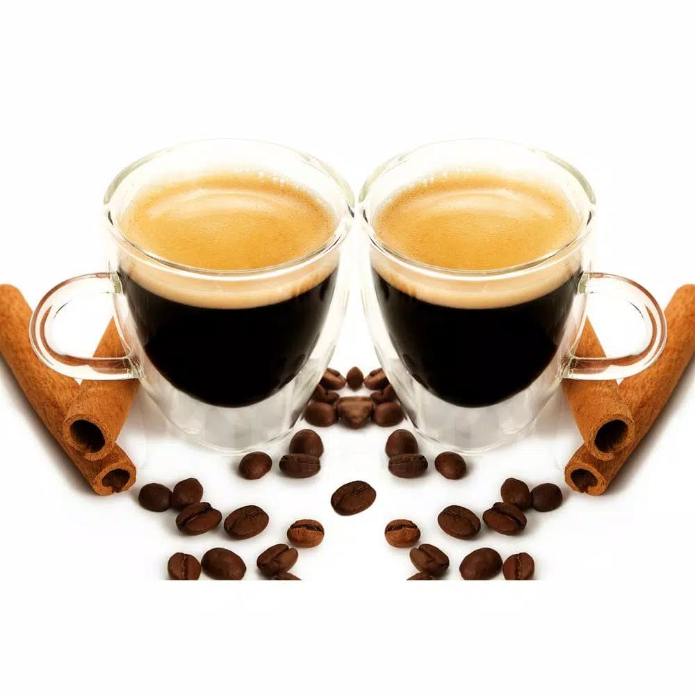 GROSCHE Turin Double-Walled Borosilicate Glass Espresso Cups with Handles, 4.7 oz (Set of 2)