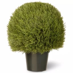 National Tree Company 24 in. Artificial Cedar Pine Topiary with Round Green Growers Pot and 100 Clear Lights thumbnail 2