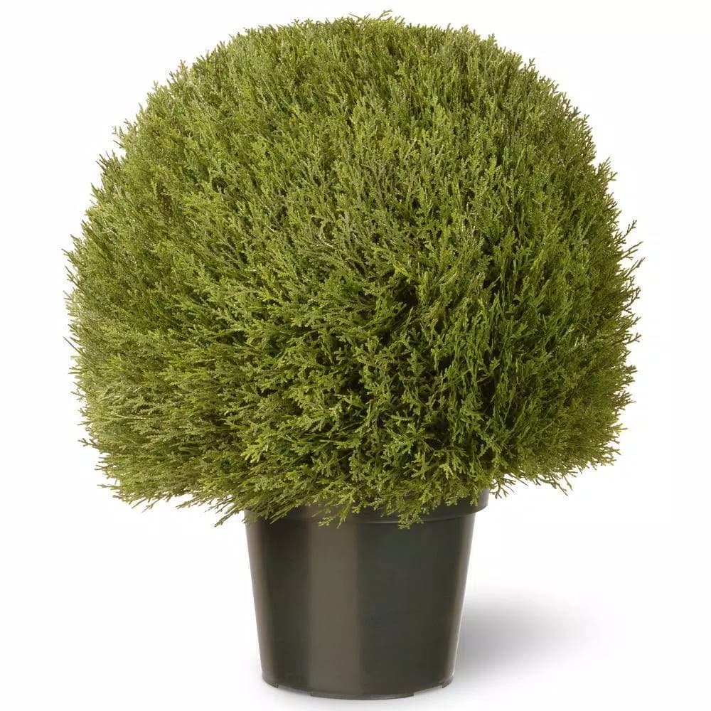 National Tree Company 24 in. Artificial Cedar Pine Topiary with Round Green Growers Pot and 100 Clear Lights
