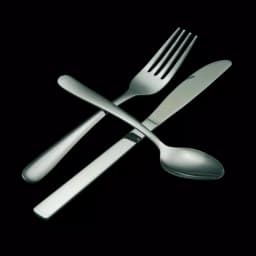 Oneida Heavy Windsor 18/0 Stainless Steel Teaspoons, 36-Piece Set thumbnail 4