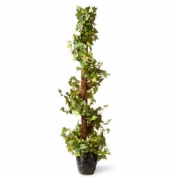 National Tree Company 48 in. Artificial Ivy Spiral Topiary in Black Pot thumbnail 1