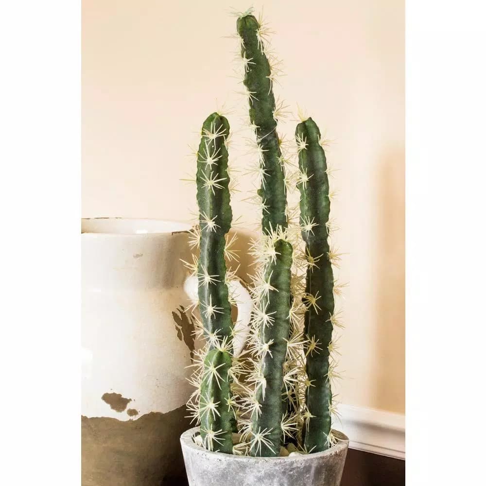 Nearly Natural Decorative Tall Cactus Collection with Modern Cement Planter and White River Rocks