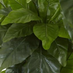 Nearly Natural 5 ft. UV Resistant Artificial Bird Nest Fern Tree - Indoor/Outdoor thumbnail 2